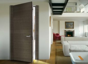 Portas de entrada de plástico em uma casa privada (145 + Foto): Como fazer e de forma segura e bonita?