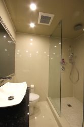 Como fazer um teto de painéis de plástico? 250+ (Fotos) Projeto 