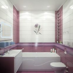Azulejo para uma pequena casa de banho (mais de 150 Design Fotos): A combinação ideal de estilo e decoração