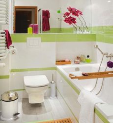 Azulejo para uma pequena casa de banho (mais de 150 Design Fotos): A combinação ideal de estilo e decoração