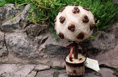 Modelos Artesanato de cereais e massas para crianças com as próprias mãos (mais de 185 fotos) - A solução original para decorar a casa e não apenas