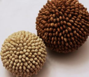 Modelos Artesanato de cereais e massas para crianças com as próprias mãos (mais de 185 fotos) - A solução original para decorar a casa e não apenas