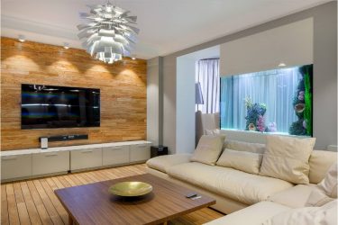 Prateleira de TV na parede (295+ fotos): nuances de design (articulada, canto, vidro)