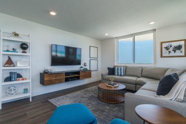 Prateleira de TV na parede (295+ fotos): nuances de design (articulada, canto, vidro)