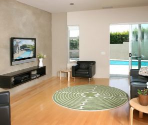 Prateleira de TV na parede (295+ fotos): nuances de design (articulada, canto, vidro)