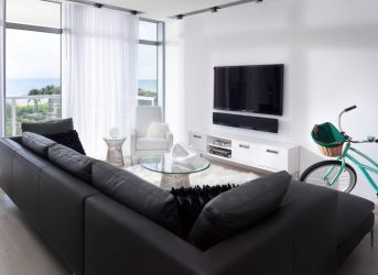 Prateleira de TV na parede (295+ fotos): nuances de design (articulada, canto, vidro)