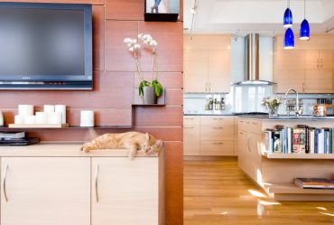 Prateleira de TV na parede (295+ fotos): nuances de design (articulada, canto, vidro)