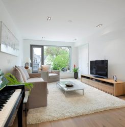 Prateleira de TV na parede (295+ fotos): nuances de design (articulada, canto, vidro)