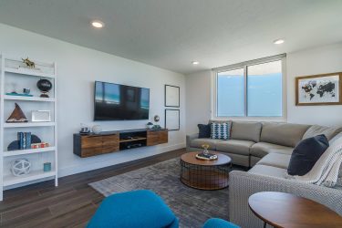 Prateleira de TV na parede (295+ fotos): nuances de design (articulada, canto, vidro)