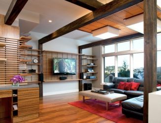 Prateleira de TV na parede (295+ fotos): nuances de design (articulada, canto, vidro)