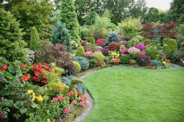 Fazendo flores e canteiros de flores com as próprias mãos - 210+ (Foto) Original e belos desenhos