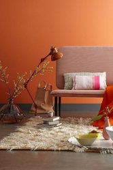Cor marrom no interior: 260+ (foto) design de chocolate. Combinações de cores interessantes e originais