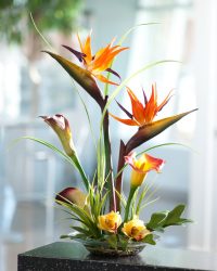 Rosas grandes e pequenas de Foamiran: 150+ (foto) com instruções passo a passo. 7 master classes detalhadas para iniciantes