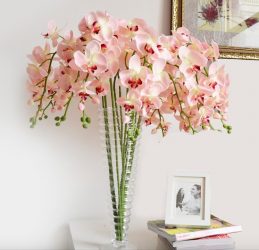 Rosas grandes e pequenas de Foamiran: 150+ (foto) com instruções passo a passo. 7 master classes detalhadas para iniciantes