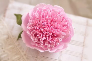 Rosas grandes e pequenas de Foamiran: 150+ (foto) com instruções passo a passo. 7 master classes detalhadas para iniciantes