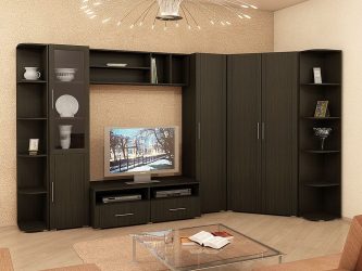 Belíssimo armário na parede da sala: mais de 140 fotos de parede grande e modular