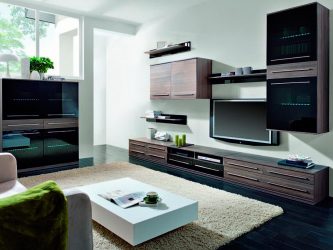 Belíssimo armário na parede da sala: mais de 140 fotos de parede grande e modular