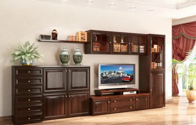 Belíssimo armário na parede da sala: mais de 140 fotos de parede grande e modular