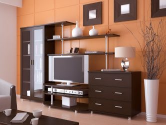 Belíssimo armário na parede da sala: mais de 140 fotos de parede grande e modular