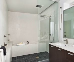 A escolha de cortinas no banheiro: 175+ (foto) para o seu design (tecido, plástico, vidro)
