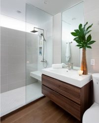 A escolha de cortinas no banheiro: 175+ (foto) para o seu design (tecido, plástico, vidro)