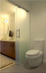 A escolha de cortinas no banheiro: 175+ (foto) para o seu design (tecido, plástico, vidro)