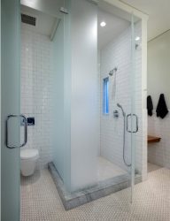 A escolha de cortinas no banheiro: 175+ (foto) para o seu design (tecido, plástico, vidro)