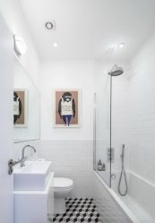 A escolha de cortinas no banheiro: 175+ (foto) para o seu design (tecido, plástico, vidro)