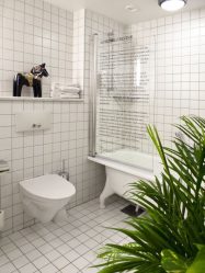 A escolha de cortinas no banheiro: 175+ (foto) para o seu design (tecido, plástico, vidro)