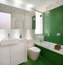 A escolha de cortinas no banheiro: 175+ (foto) para o seu design (tecido, plástico, vidro)