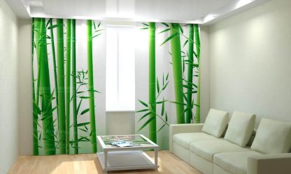 Cortinas na sala de estar (mais de 130 fotos): idéias modernas, modelos de novos produtos de 2017, que serão lembrados por muito tempo