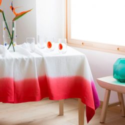 Experimentando com toalhas de mesa em cima da mesa: 265+ Fotos de opções bonitas e modernas (silicone, transparentes, a céu aberto)