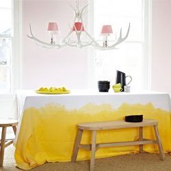 Experimentando com toalhas de mesa em cima da mesa: 265+ Fotos de opções bonitas e modernas (silicone, transparentes, a céu aberto)