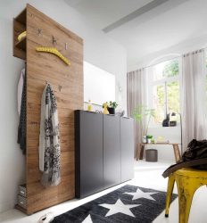 Design moderno do corredor do apartamento / casa (+200 fotos): as últimas notícias de 2017