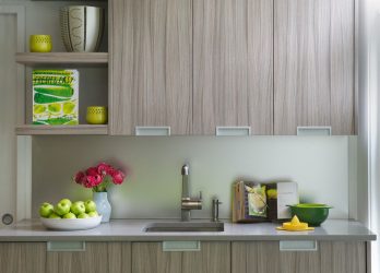 ผ้ากันเปื้อนแก้ว skinali สำหรับห้องครัว - ไอเดียและสไตล์ที่แนะนำ (140+ รูป)
