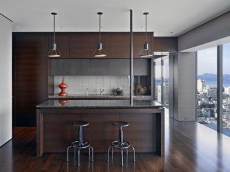 Wenge no interior: 160+ (foto) combinações de cores com mobiliário (design da sala de estar, quarto, corredor)