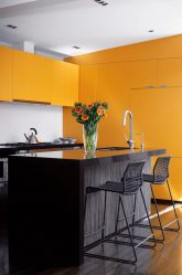 Wenge no interior: 160+ (foto) combinações de cores com mobiliário (design da sala de estar, quarto, corredor)