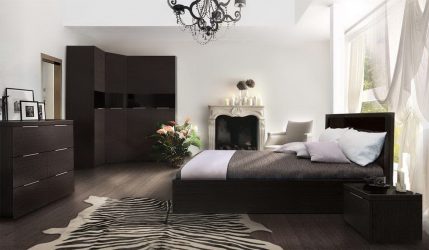 Wenge no interior: 160+ (foto) combinações de cores com mobiliário (design da sala de estar, quarto, corredor)