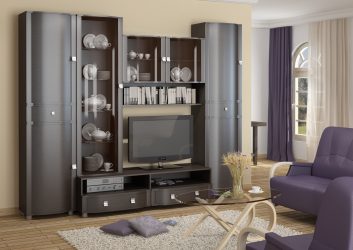 Wenge no interior: 160+ (foto) combinações de cores com mobiliário (design da sala de estar, quarto, corredor)