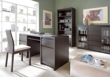 Wenge no interior: 160+ (foto) combinações de cores com mobiliário (design da sala de estar, quarto, corredor)