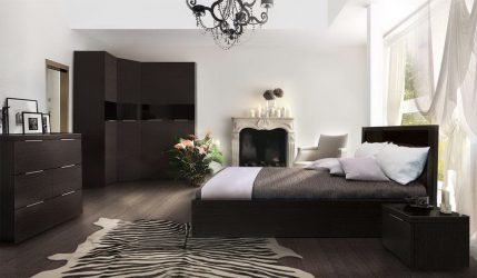 Wenge no interior: 160+ (foto) combinações de cores com mobiliário (design da sala de estar, quarto, corredor)