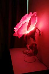Como fazer flores de papel ondulado com suas próprias mãos? 125 Fotos e 5 workshops simples