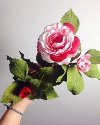 Como fazer flores de papel ondulado com suas próprias mãos? 125 Fotos e 5 workshops simples