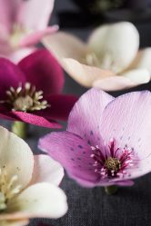 Como fazer flores de papel ondulado com suas próprias mãos? 125 Fotos e 5 workshops simples