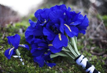 Como fazer flores de papel ondulado com suas próprias mãos? 125 Fotos e 5 workshops simples