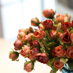Flores no interior: 175+ (fotos) combinações bonitas (na sala de estar, quarto, na cozinha)