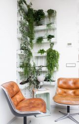 Flores no interior: 175+ (fotos) combinações bonitas (na sala de estar, quarto, na cozinha)