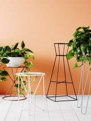 Flores no interior: 175+ (fotos) combinações bonitas (na sala de estar, quarto, na cozinha)