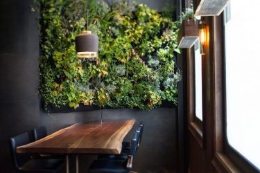Flores no interior: 175+ (fotos) combinações bonitas (na sala de estar, quarto, na cozinha)