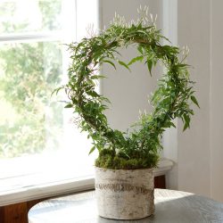 Flores no interior: 175+ (fotos) combinações bonitas (na sala de estar, quarto, na cozinha)